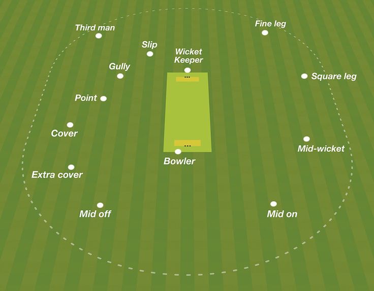 Cricket Fielding Positions