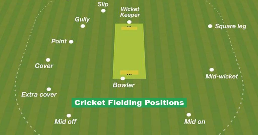 Cricket Fielding Positions