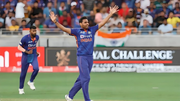 Most Wickets in T20 Asia Cup