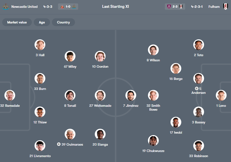 Newcastle United vs Fulham