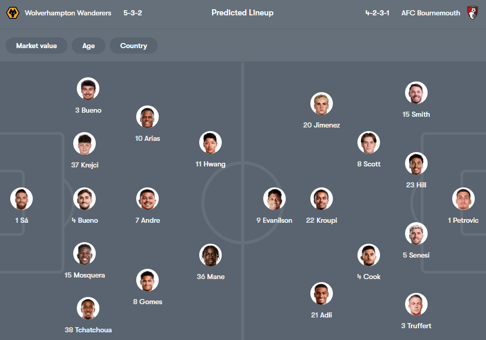 Wolves vs Bournemouth
