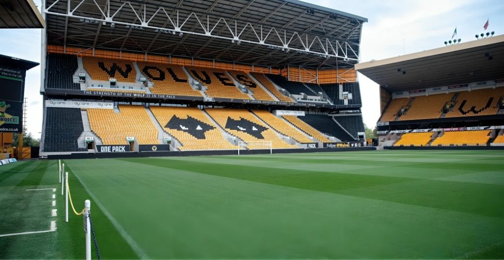 Wolves vs Newcastle