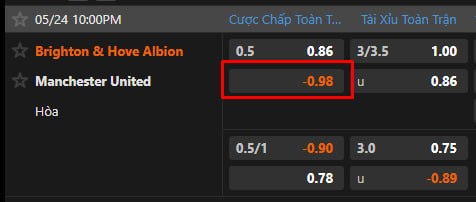 Brighton & Hove Albion vs Manchester United