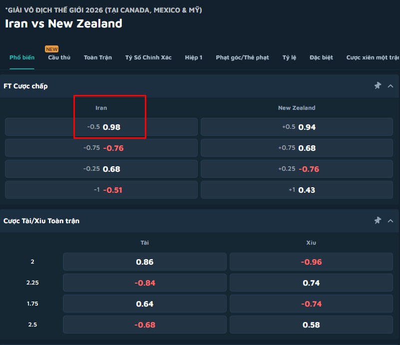 Iran vs New Zealand