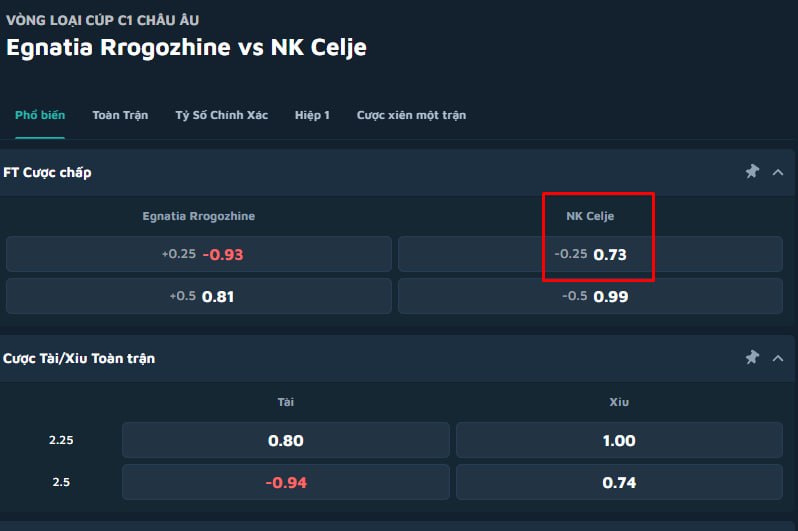 Egnatia Rrogozhine vs NK Celje