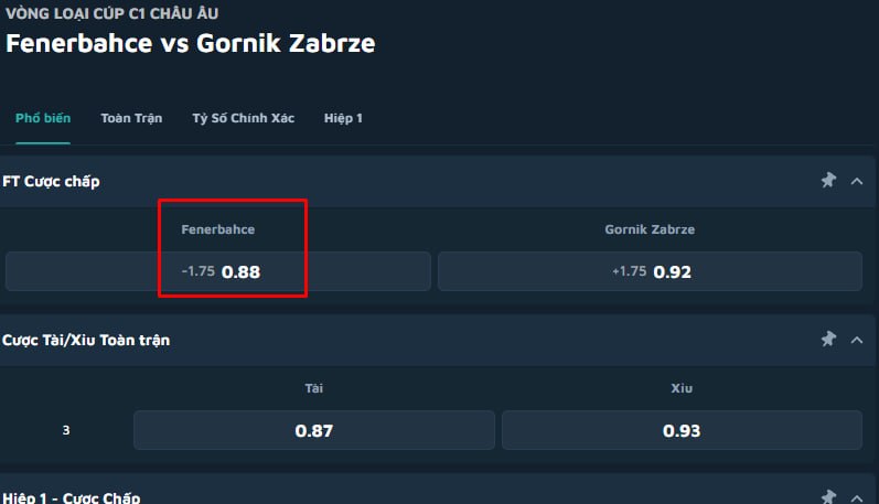 Fenerbahce vs Gornik Zabrze