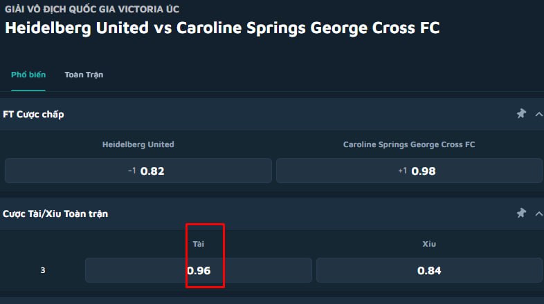 Heidelberg United vs Caroline Springs George Cross FC