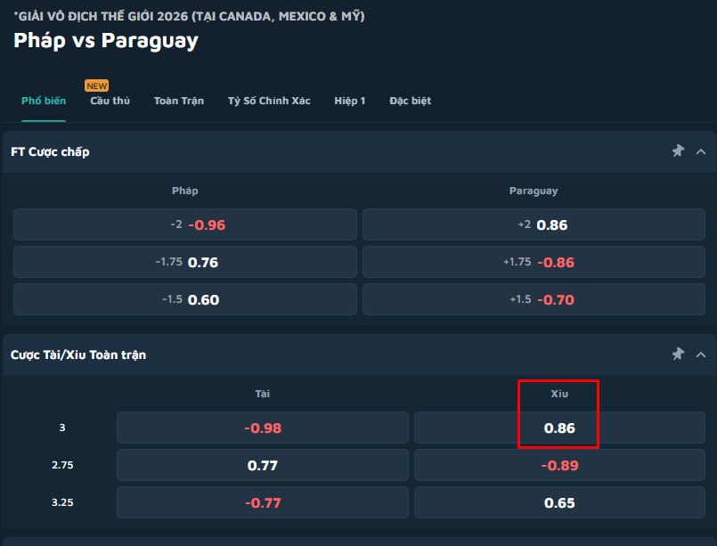 France vs Paraguay