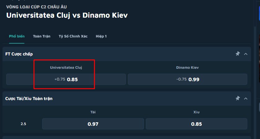 Universitatea Cluj vs Dinamo Kiev