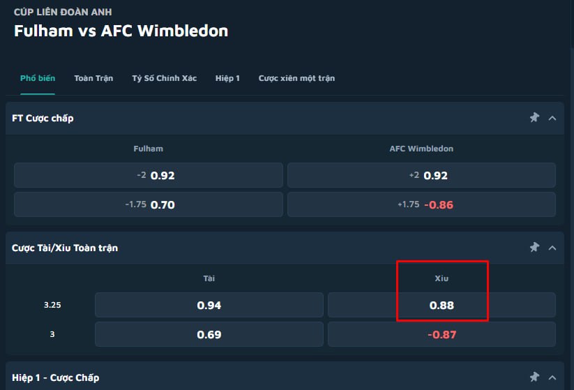 Fulham vs AFC Wimbledon