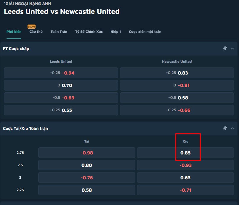 Leeds United vs Newcastle United