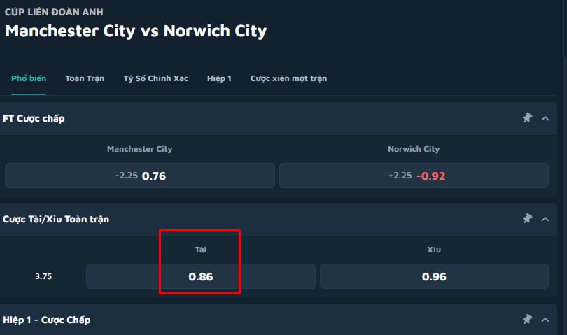 Manchester City vs Norwich City