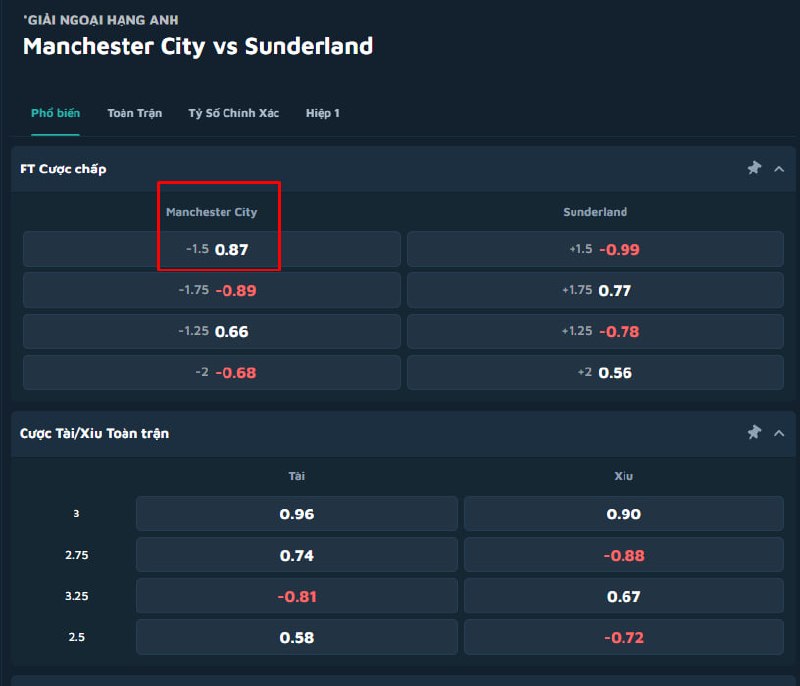 Manchester City vs Sunderland